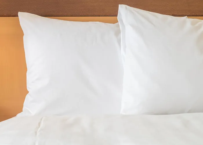 Express & Chicago O'hare Airport By Ihg Hotel Des Plaines